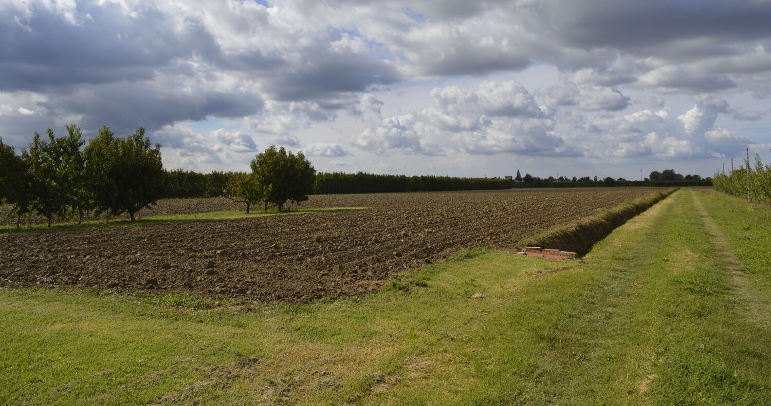Ravenna